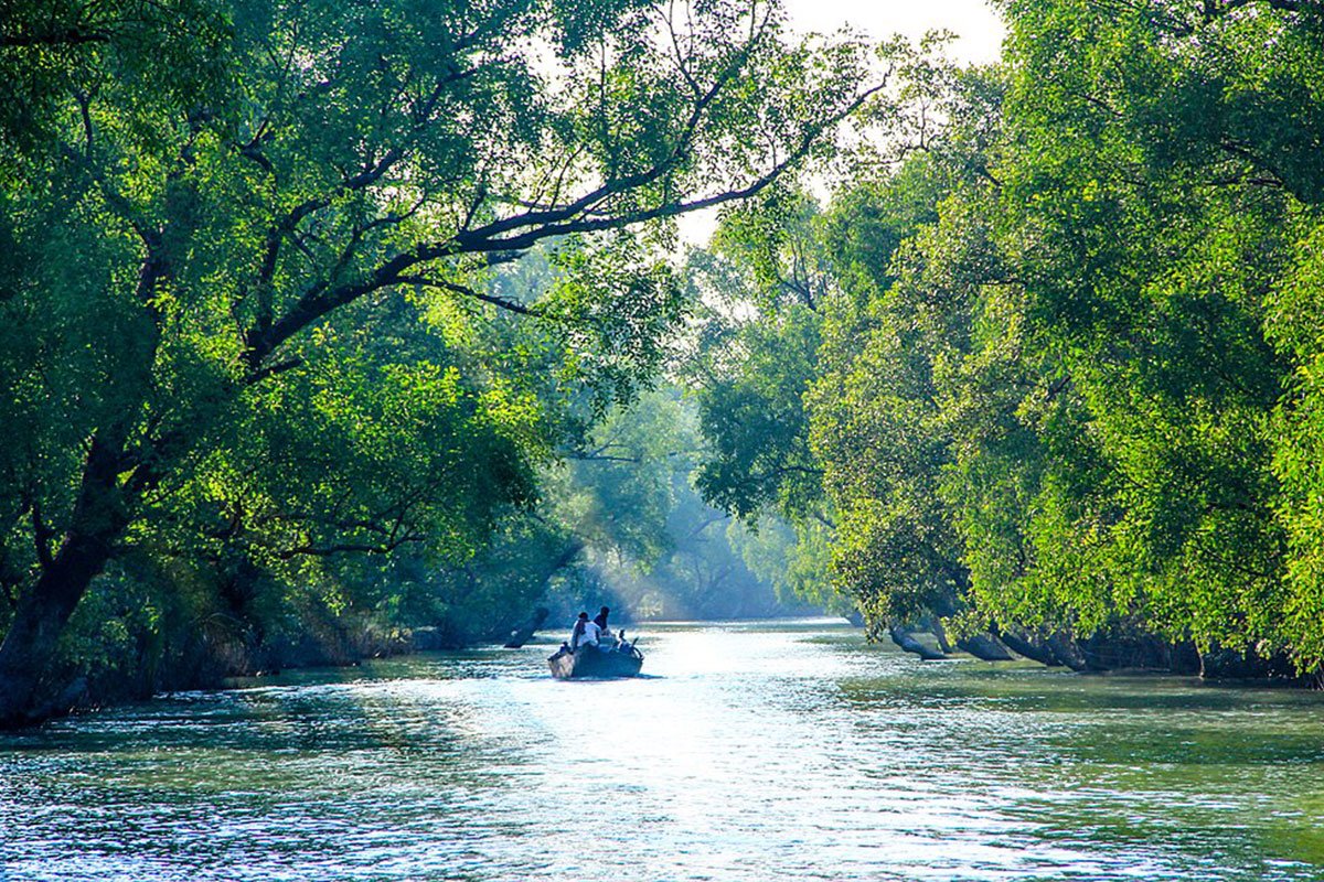 welcome-to-kalpataru-travels, Sundarban tour, mangrove forest boat safari, eco-tourism adventure